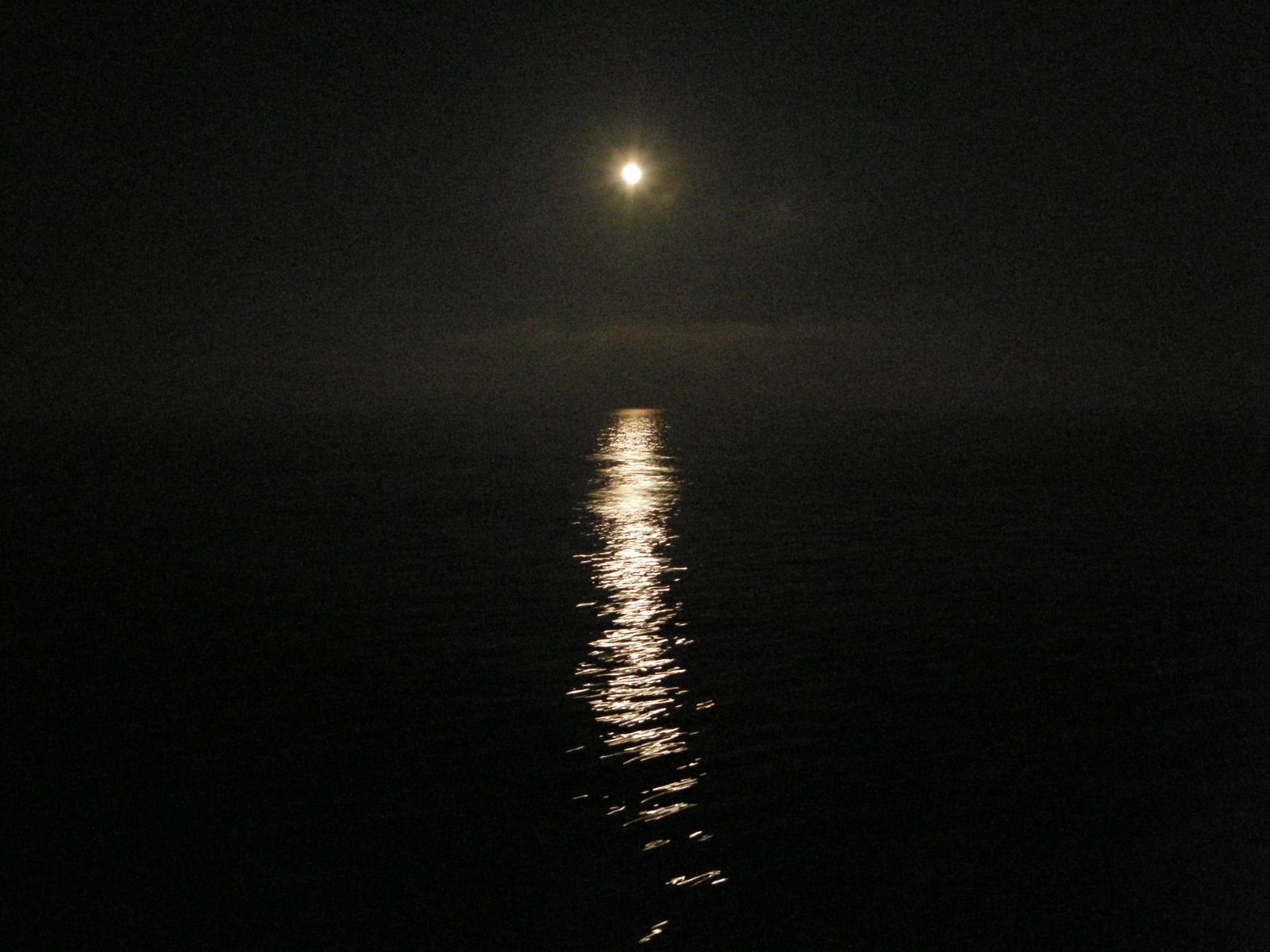 真っ暗な海の上に丸い月。海面に月の光の帯がのびる
