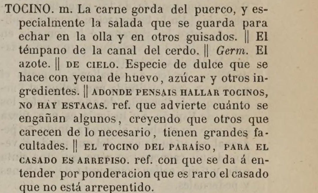 古い辞書の段組みの切り抜き。TOCINO の見出しの下に、小さな大文字で DE CIELO、EL TOCINO DEL PARAÍSO, PARA EL CASADO ES ARREPISO の字